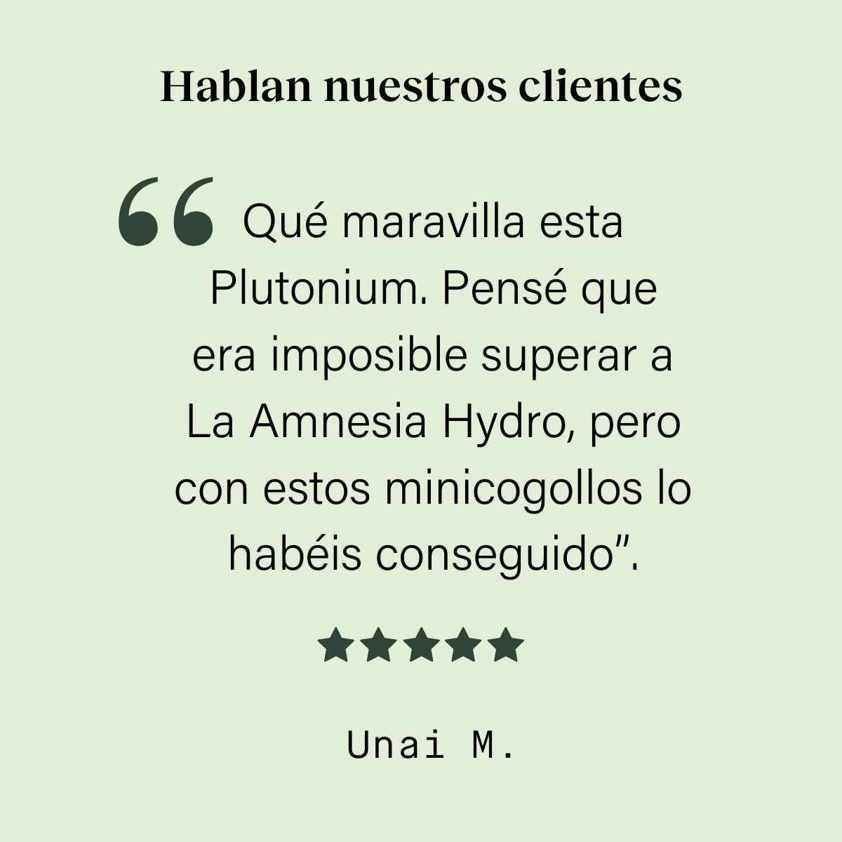 Cogollos Pequeños de Flor Aromática de CBD - La Cordobesa Plutonium Indoor