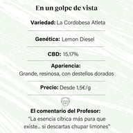 Cogollo de Flor Aromática de CBD al 15,17% · La Cordobesa Atleta