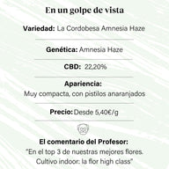 Cogollo de Flor Aromática de CBD Indoor al 22,20% · La Cordobesa Amnesia Haze ·