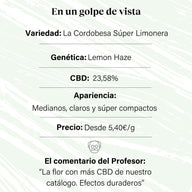 Cogollo de Flor Aromática de CBD Indoor al 23,58% · La Cordobesa Súper Limonera (Lemon Haze)