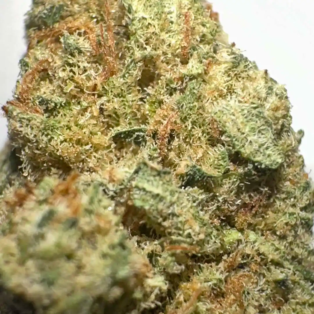 Small buds of CBD Aromatic Flower 15,80% - La Cordobesa Amnesia Hydroponic