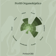 Cogollo de Flor Aromática de CBD al 15,17% · La Cordobesa Atleta