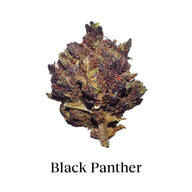 Pack 60g Cogollos Pequeños + 5g Hash - Combo 65g Flor Variada y Resina