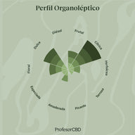 Cogollo de Flor de CBG 8% · La Cordobesa Cannabigerol