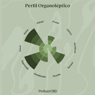 Cogollo de Flor Aromática de CBD Indoor al 18,81% · La Cordobesa Candy Kush Indoor