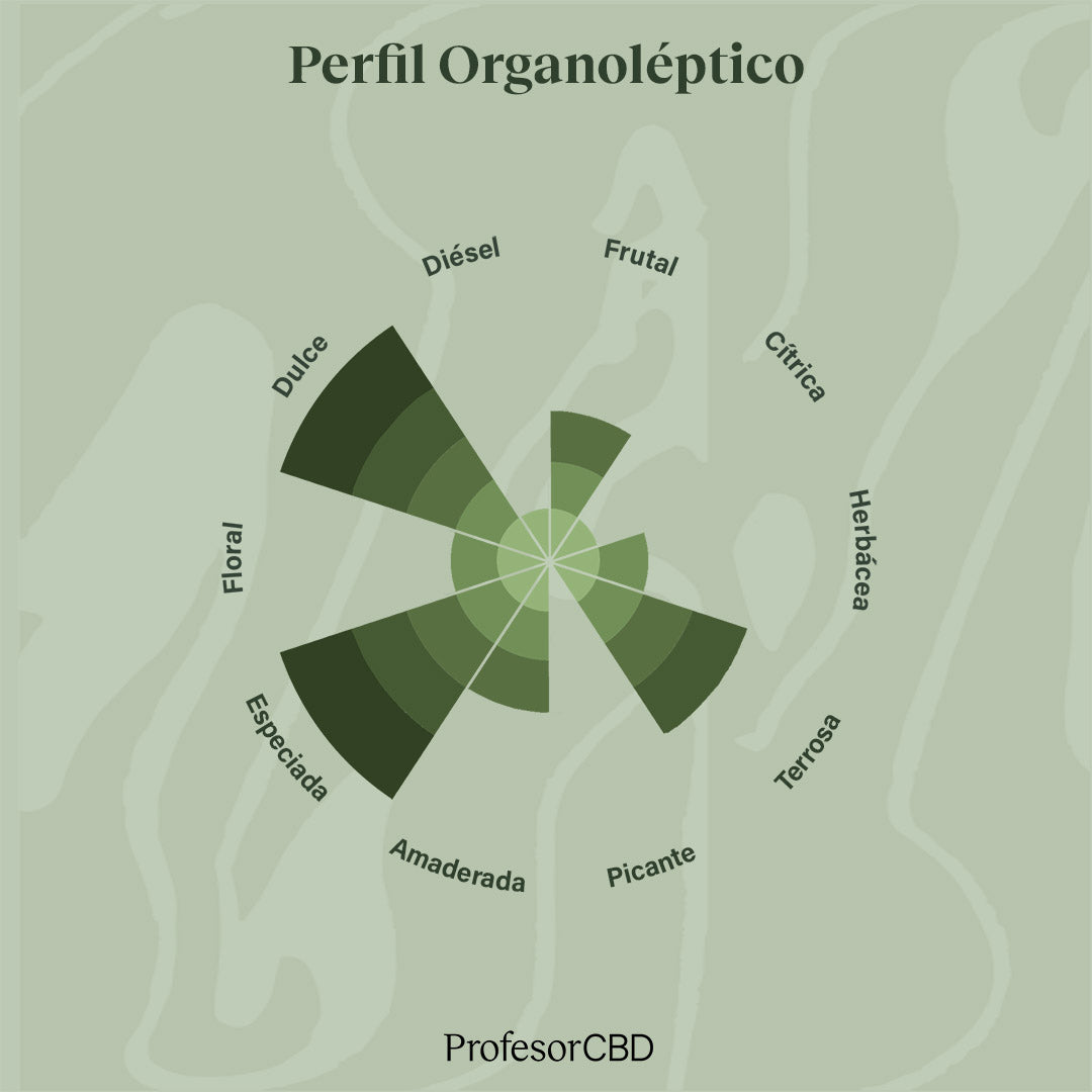 Cogollo de Flor Aromática de CBD Indoor al 18,81% · La Cordobesa Candy Kush Indoor