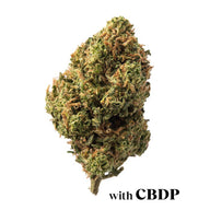 Aromatic Flower buds La Cordobesa Candy Kush - CBDP