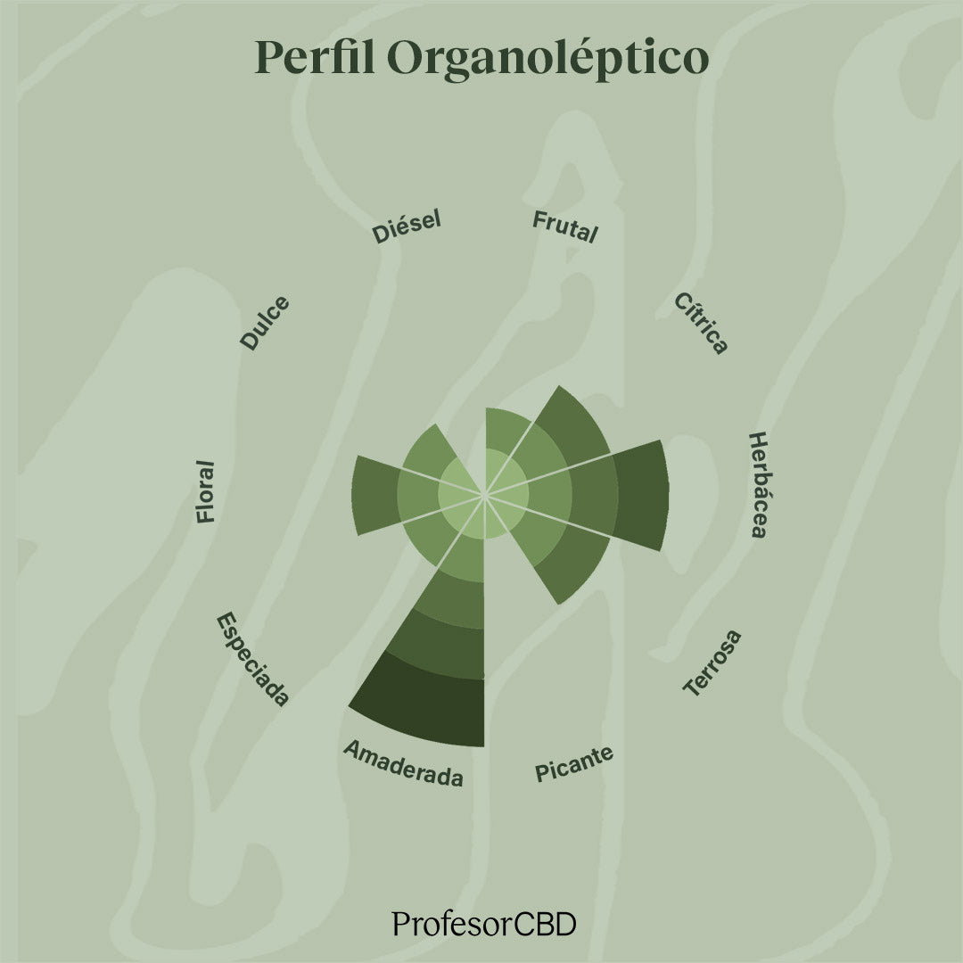 Cogollo de Flor Aromática de CBD al 4,23% · La Cordobesa Colchonera