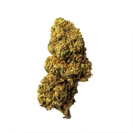 Cogollo de Flor Aromática de CBD al 15,17% · La Cordobesa Atleta