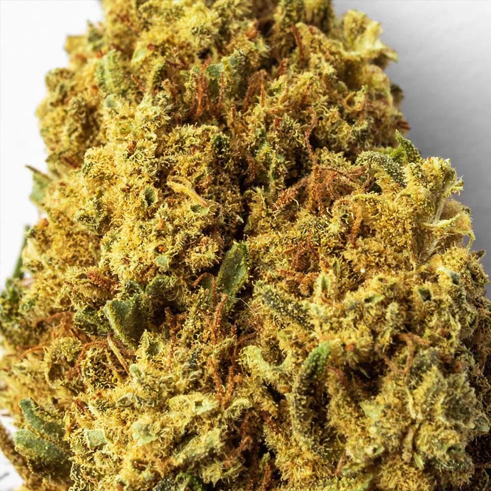 Cogollo de Flor Aromática de CBD al 15,17% · La Cordobesa Atleta