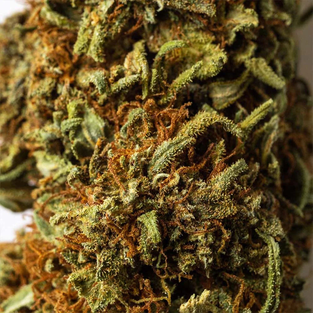 Cogollo de Flor de CBG 8% · La Cordobesa Cannabigerol