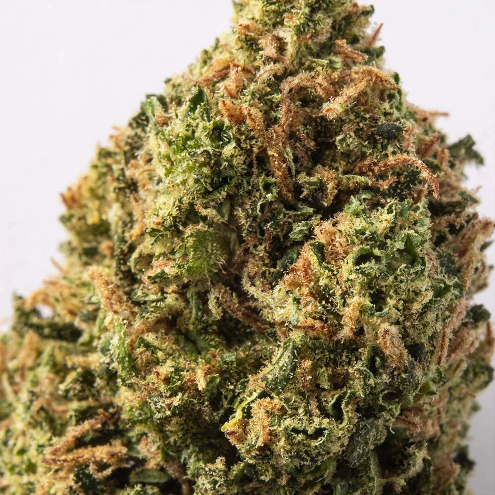 Cogollo de Flor Aromática de CBD Indoor al 18,81% · La Cordobesa Candy Kush Indoor