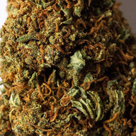 Cogollo de Flor Aromática de CBD con 15,88% · La Cordobesa Helada Nueva Cosecha