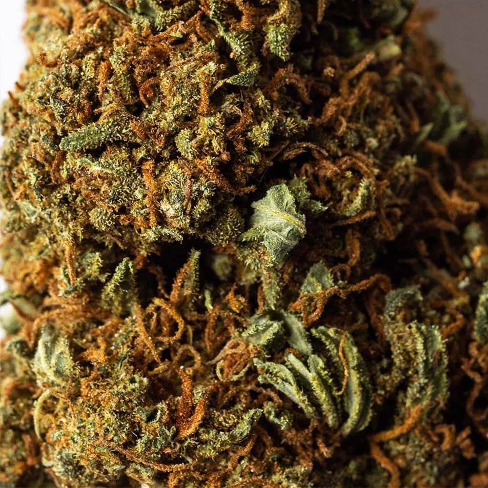 Cogollo de Flor Aromática de CBD con 15,88% · La Cordobesa Helada Nueva Cosecha