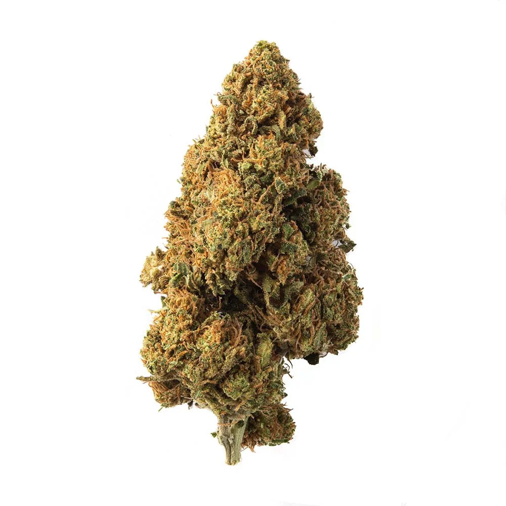 Cogollo de Flor Aromática de CBD al 4,23% · La Cordobesa Limonera