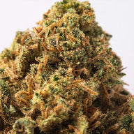 Cogollo de Flor Aromática de CBD al 4,23% · La Cordobesa Limonera