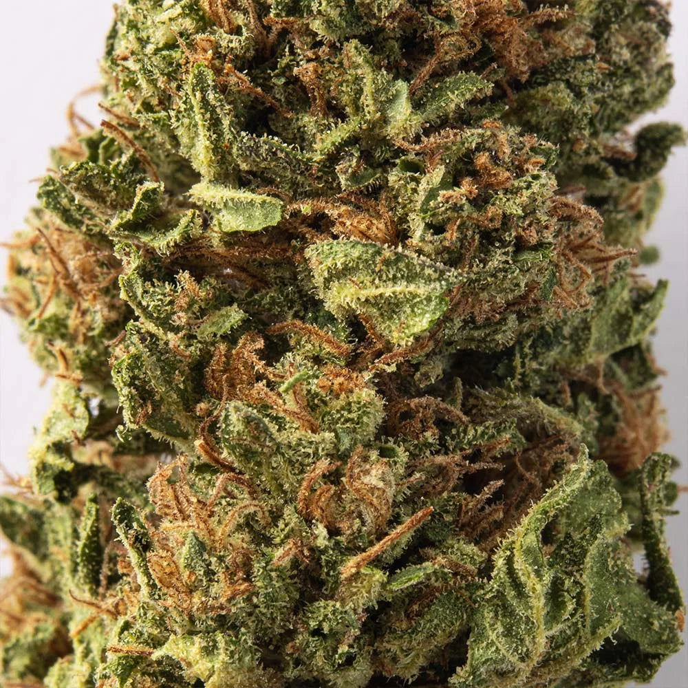 Cogollo de Flor Aromática de CBD al 4% · La Generosa Tradicional