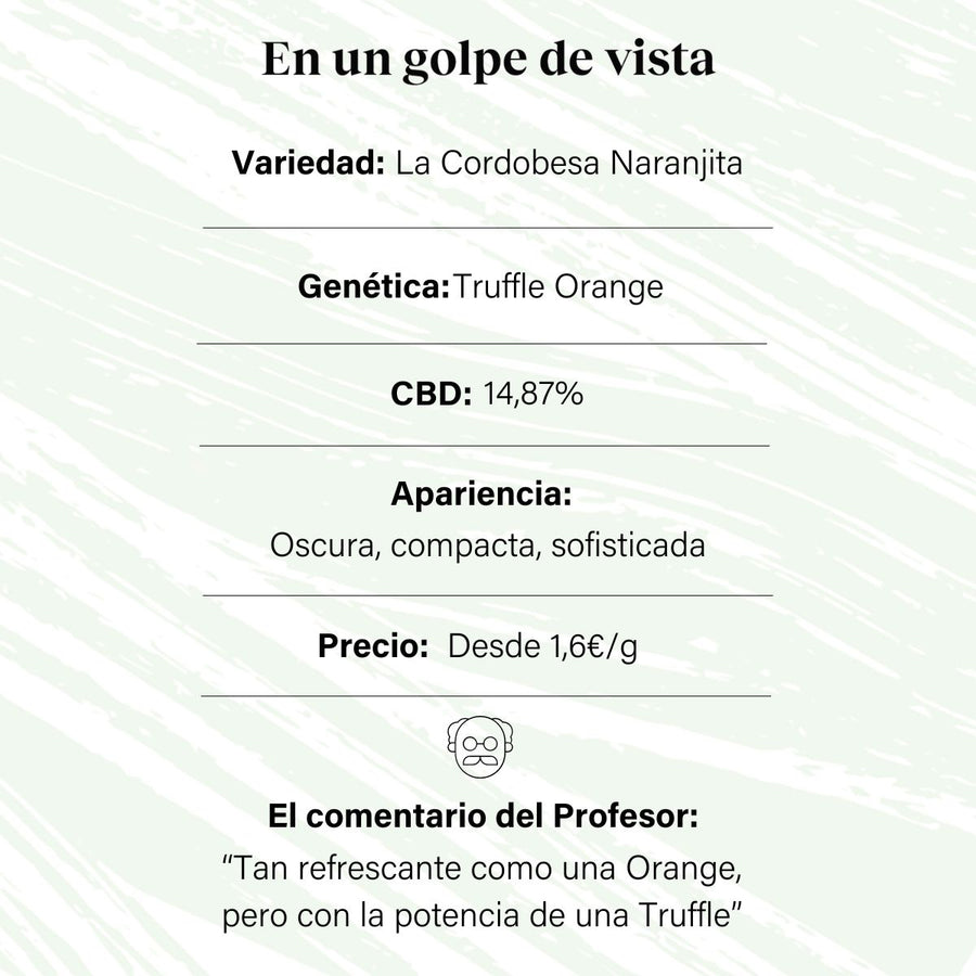 Cogollo de Flor Aromática de CBD al 14,87% · La Cordobesa Naranjita