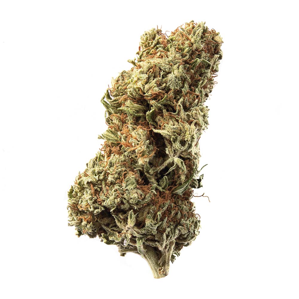 Cogollo de Flor Aromática de CBD al 7% · La Cordobesa Navideña