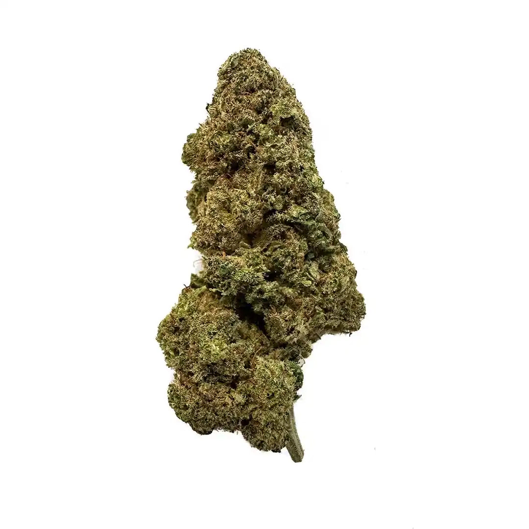 Cogollo de Flor Aromática de CBD al 13,54% · La Cordobesa Navideña Tropical Punch