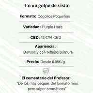 Small buds of 12.47% CBD Aromatic Flower - La Cordobesa Purple Haze
