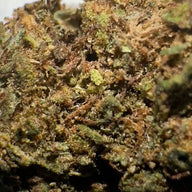 Small buds of 12.47% CBD Aromatic Flower - La Cordobesa Purple Haze