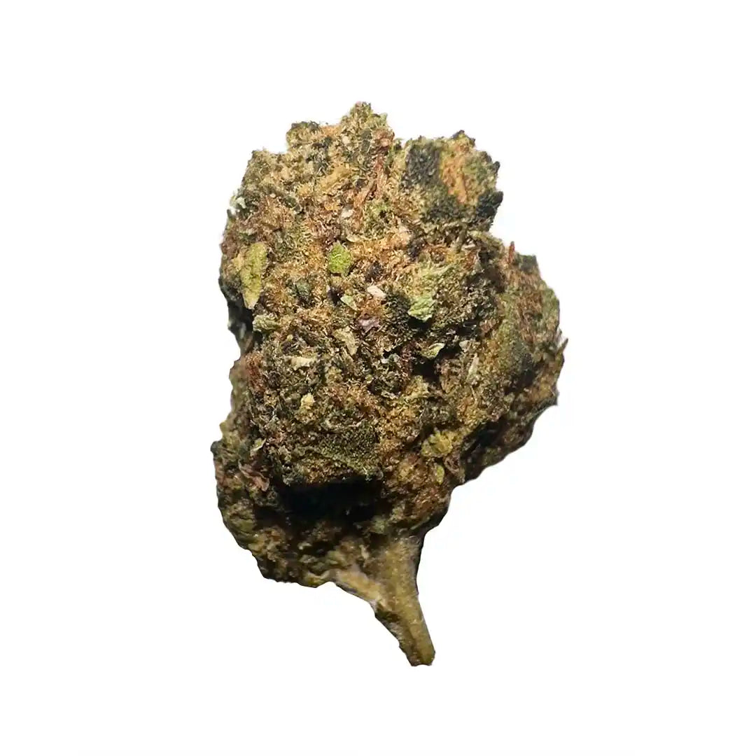 Small buds of 12.47% CBD Aromatic Flower - La Cordobesa Purple Haze