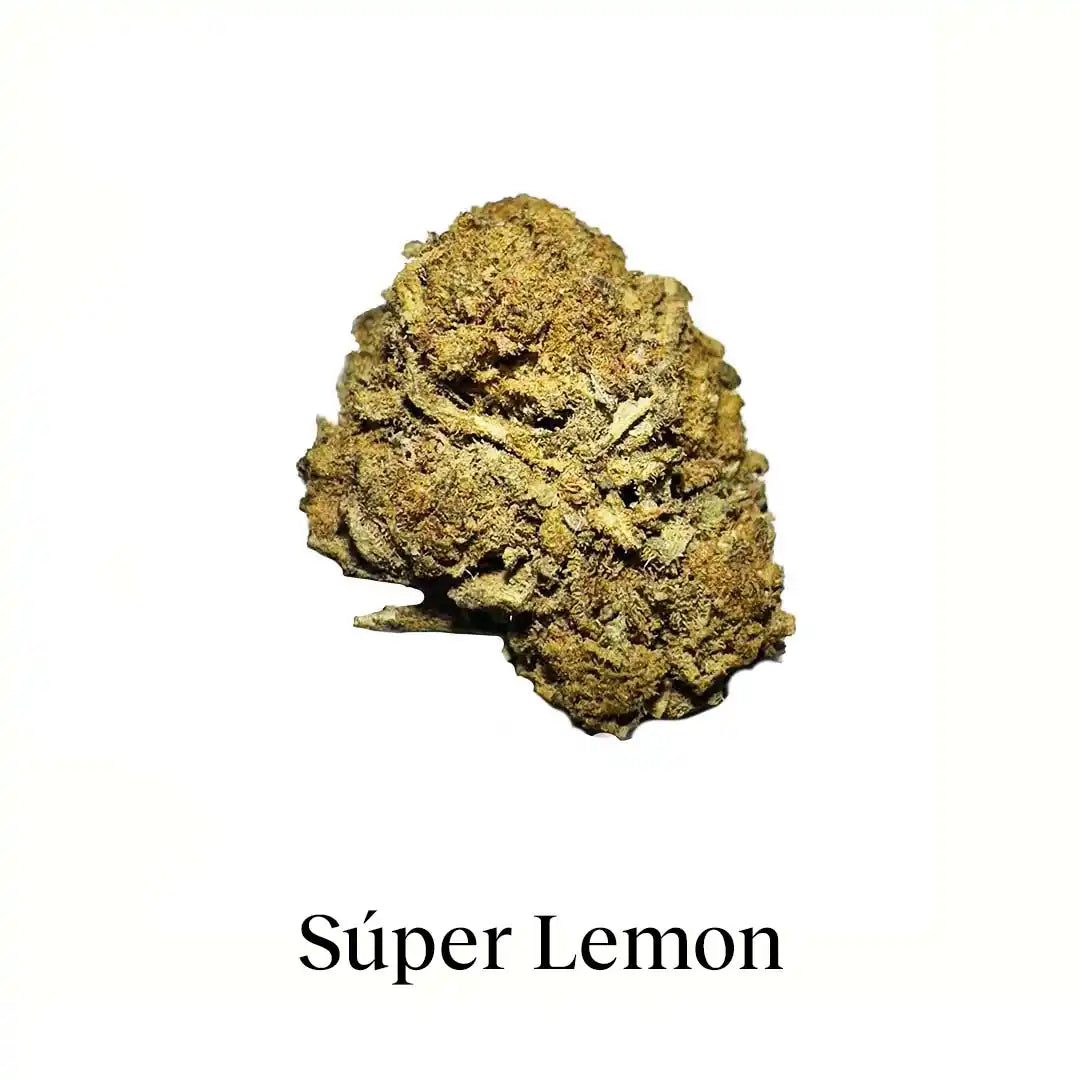 Pack 60g Cogollos Pequeños + 5g Hash - Combo 65g Flor Variada y Resina