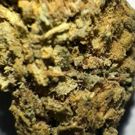 Pequenos botões de 14,14% CBD Aromatic Flower - La Cordobesa Super Lemon