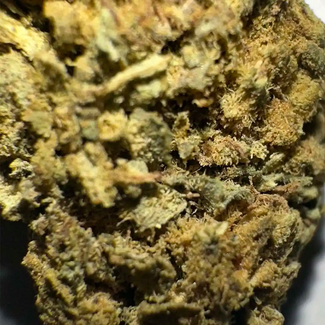 Pequenos botões de 14,14% CBD Aromatic Flower - La Cordobesa Super Lemon