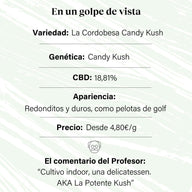 Cogollo de Flor Aromática de CBD Indoor al 18,81% · La Cordobesa Candy Kush Indoor