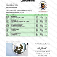 Cogollo de Flor Aromática de CBD al 4,23% · La Cordobesa Colchonera