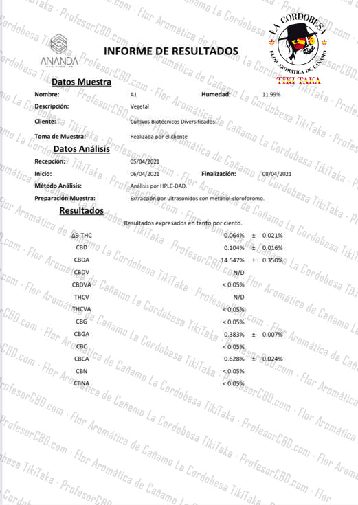 Broto de flor aromática de interior com CBD 9,57% · La Cordobesa Tiki Taka