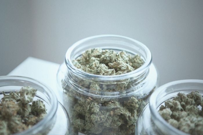 Cómo almacenar tus flores de CBD para que duren y duren