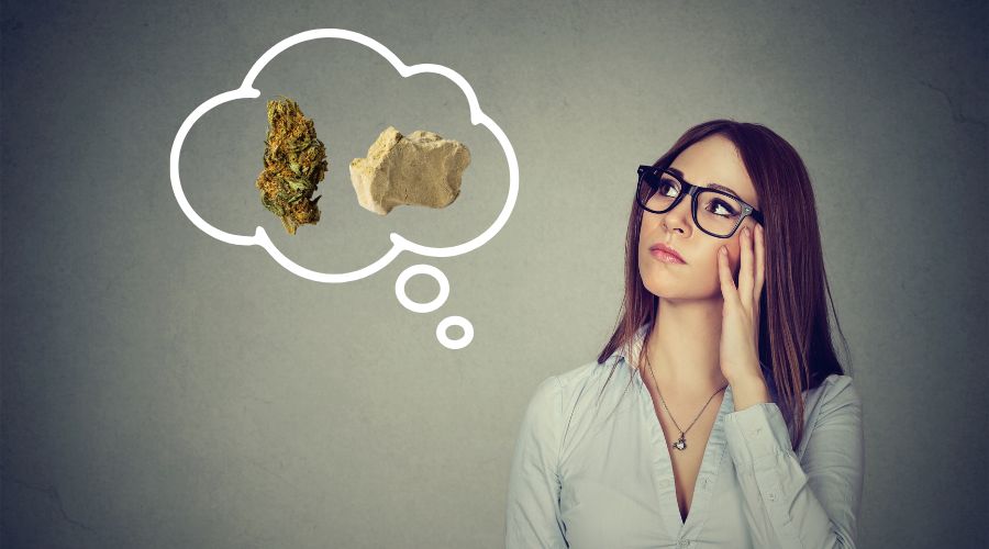 Flor CBD vs Resina CBD: una guía para elegir