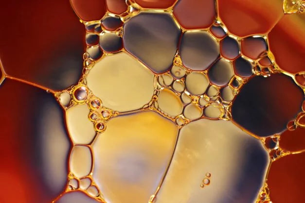 ¿Qué es el aceite de cáñamo? Usos y beneficios