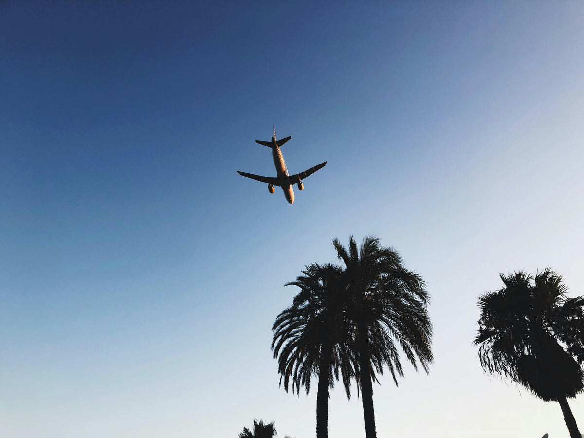 ¿Puedo volar con productos de CBD?