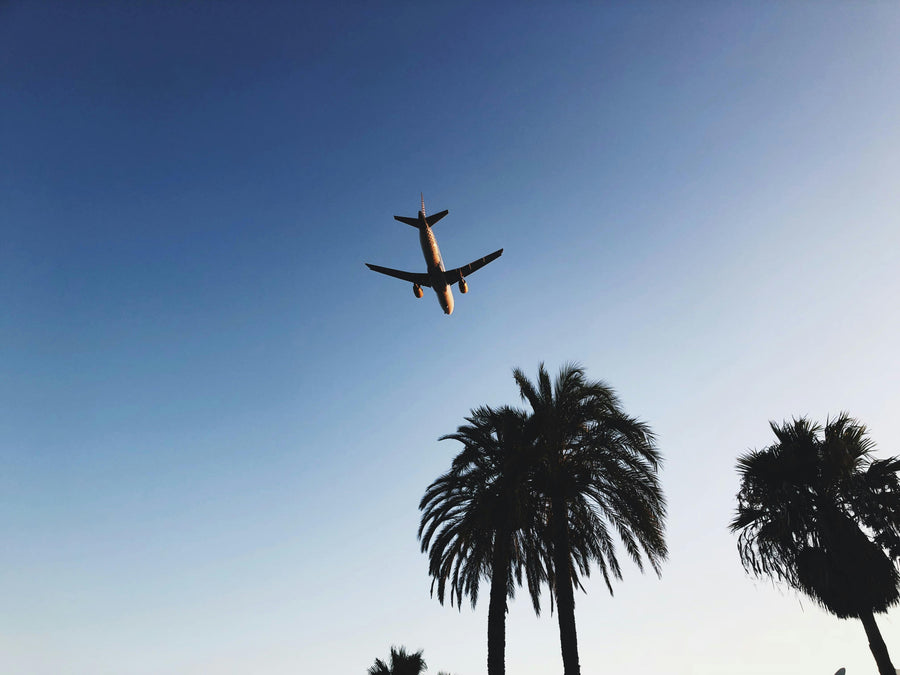 ¿Puedo volar con productos de CBD?