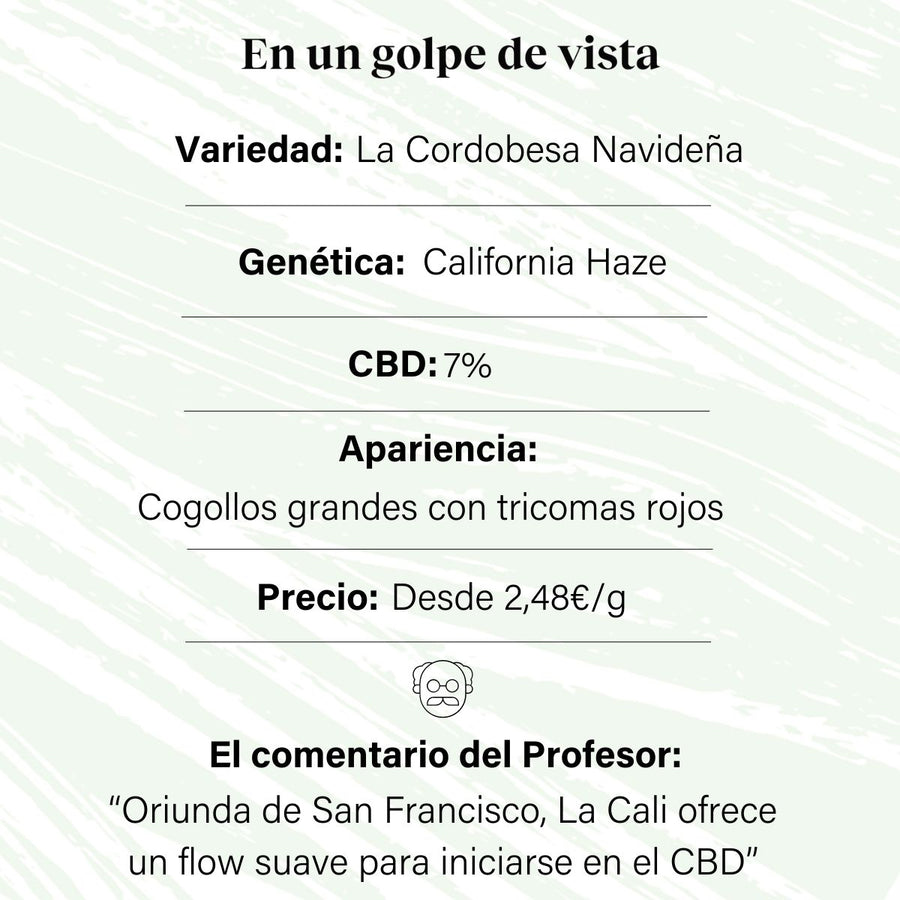 Cogollo de Flor Aromática de CBD al 7% · La Cordobesa Navideña California Haze