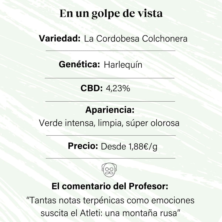 Cogollo de Flor Aromática de CBD al 4,23% · La Cordobesa Colchonera