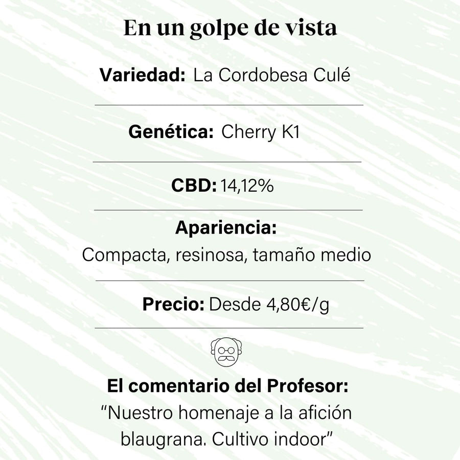 Bourgeon de fleur aromatique CBD à 14,12% La Cordobesa Culé