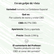 Icerocks mit 85,77% CBD : La Cordobesa Espacial