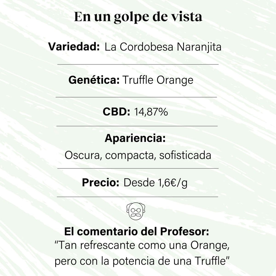 Cogollo de Flor Aromática de CBD al 14,87% · La Cordobesa Naranjita