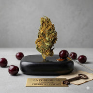 Bourgeon de fleur aromatique CBD 16.49% La Cordobesa Tradicional