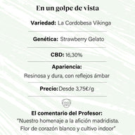 CBD Aromatische Blütenknospe 16,30% La Cordobesa Vikinga