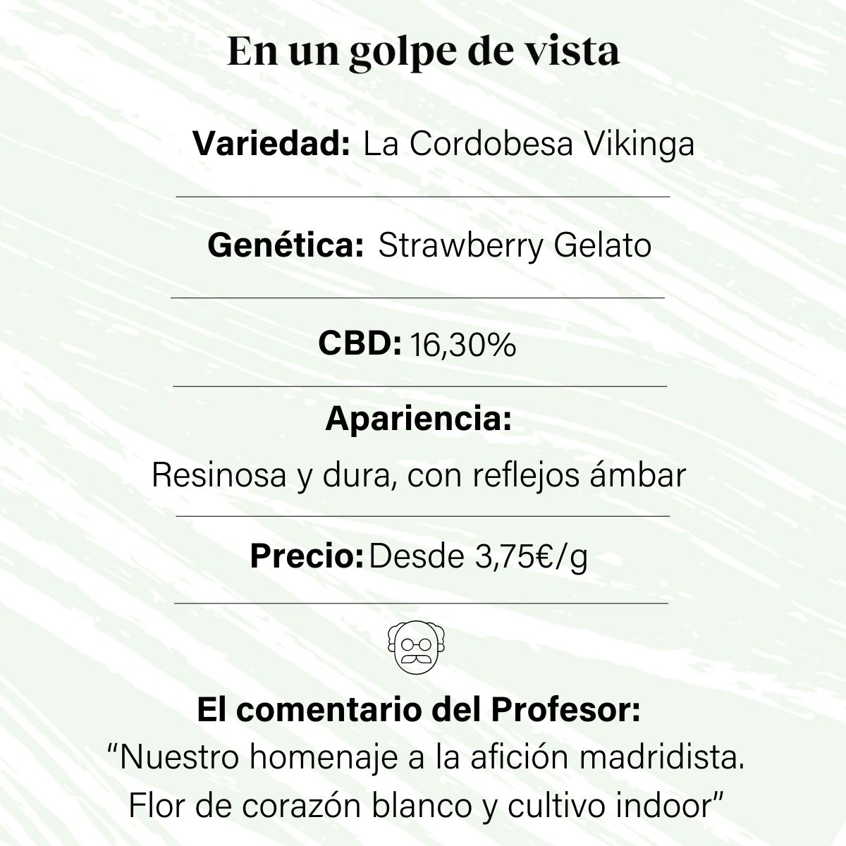 CBD Aromatische Blütenknospe 16,30% La Cordobesa Vikinga