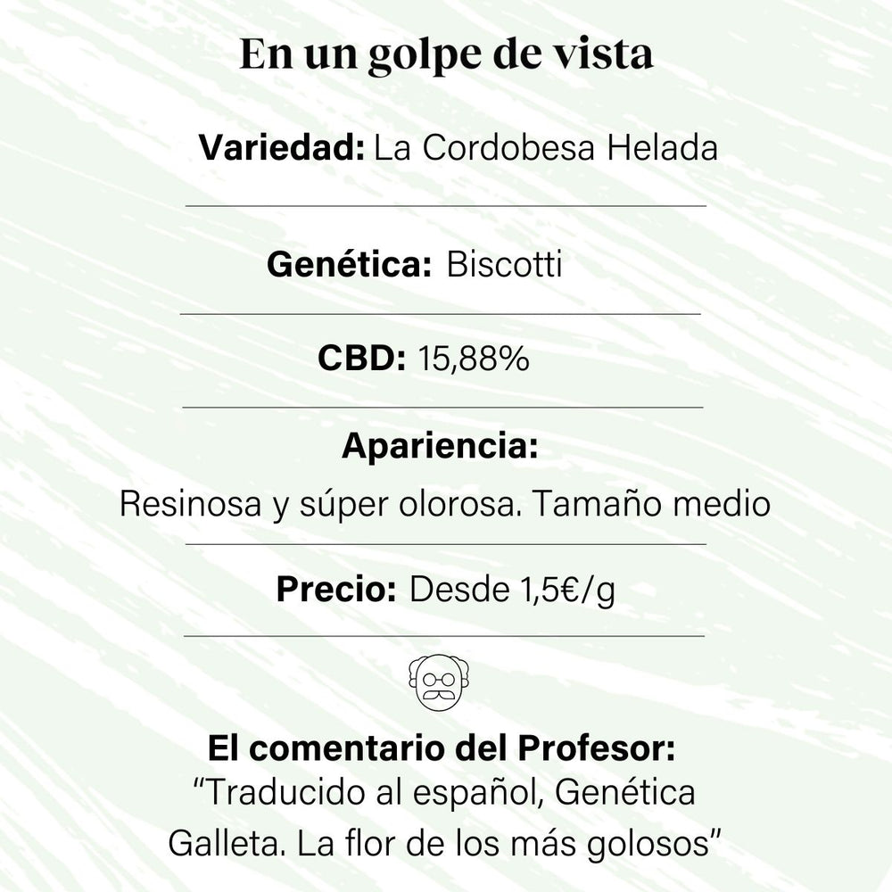 Botão de flor aromático CBD com 15,88% · La Cordobesa Helada Nueva Cosecha