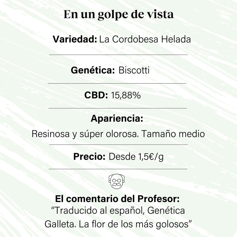 Bocciolo di fiore aromatico CBD con 15,88% La Cordobesa Helada Nueva Cosecha