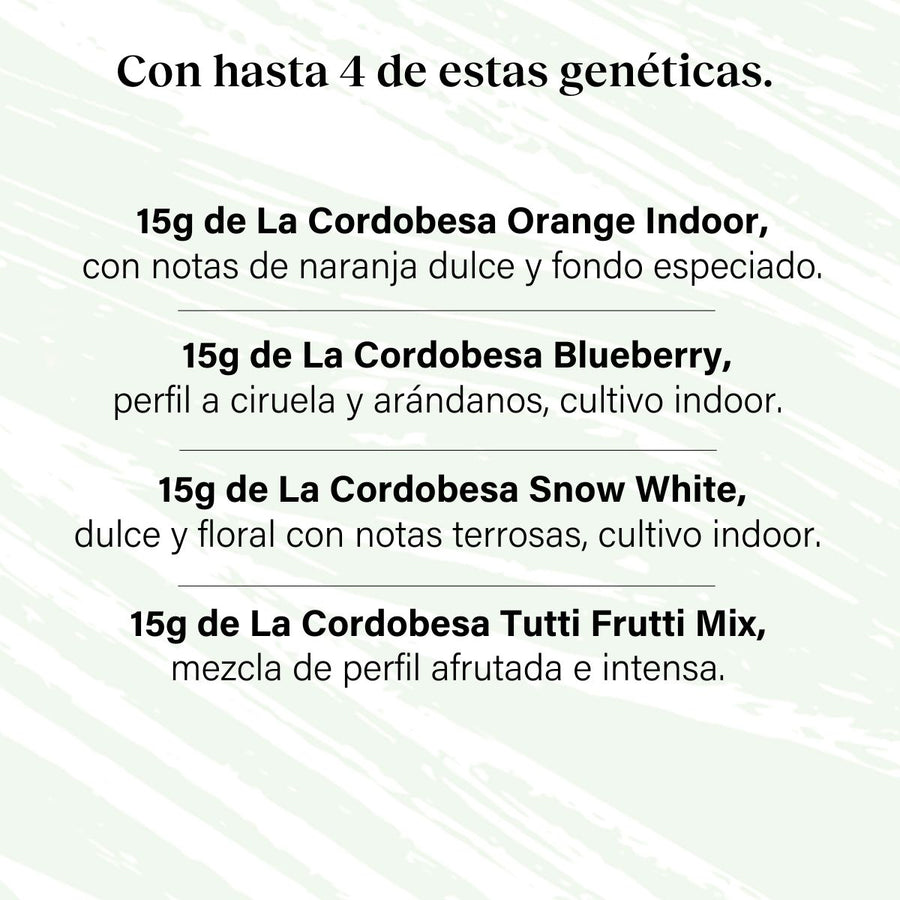 Pack 60g Cogollos Pequeños Pruébalo Todo - Genéticas Variadas