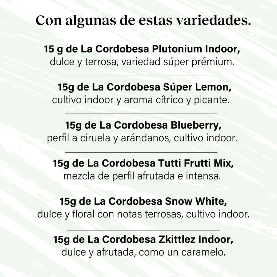 Pack 90g Cogollos Pequeños Genéticas Variadas Prémium - Verde Súper Verde